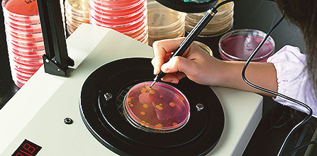 ふん便検査ページのイメージ