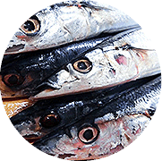 概要イメージ写真3