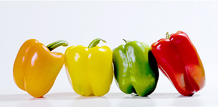 食品検査ページのイメージ